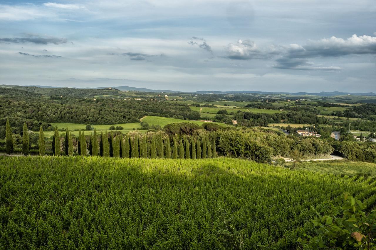 Villa Borgo Argiano Castelnuovo Berardenga Exterior foto
